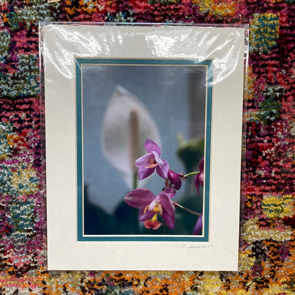 Original photograph Orchid flowers 8x10”